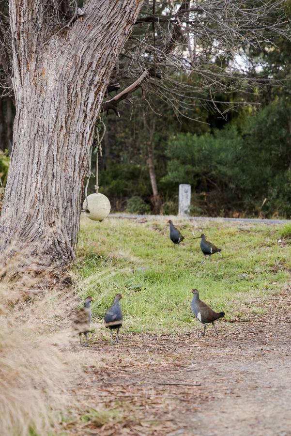 Lawrence Creek Cottage Bruny Island Simpsons Bay Luaran gambar